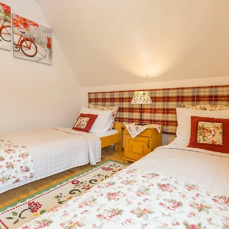 Homestay Na Borach *